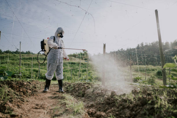 Best Best Pest Control Companies  in Beaver Falls, PA