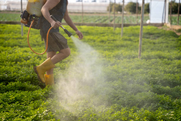 Best Best Pest Control Companies  in Beaver Falls, PA